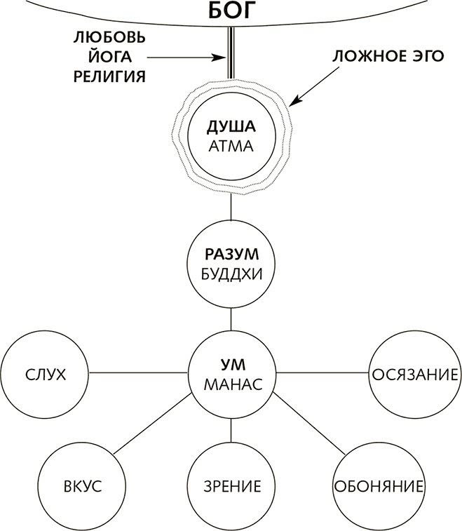 Понятие умами. Ум разум ложное эго. Структура ума. Структура ложного эго. Ум и разум схема.